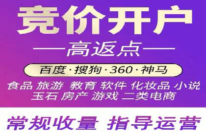 SEM竞价培训：实战案例解析与策略