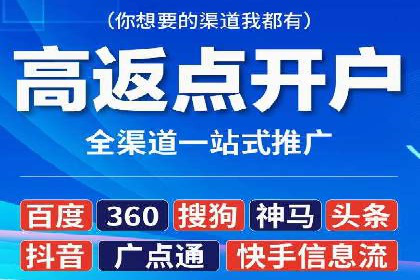 百度推广费用的投入与市场占有率提升的关联案例